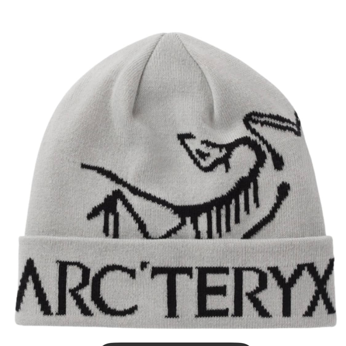 아크테릭스 버드 워드 토크 비니 오르카 상품이미지1