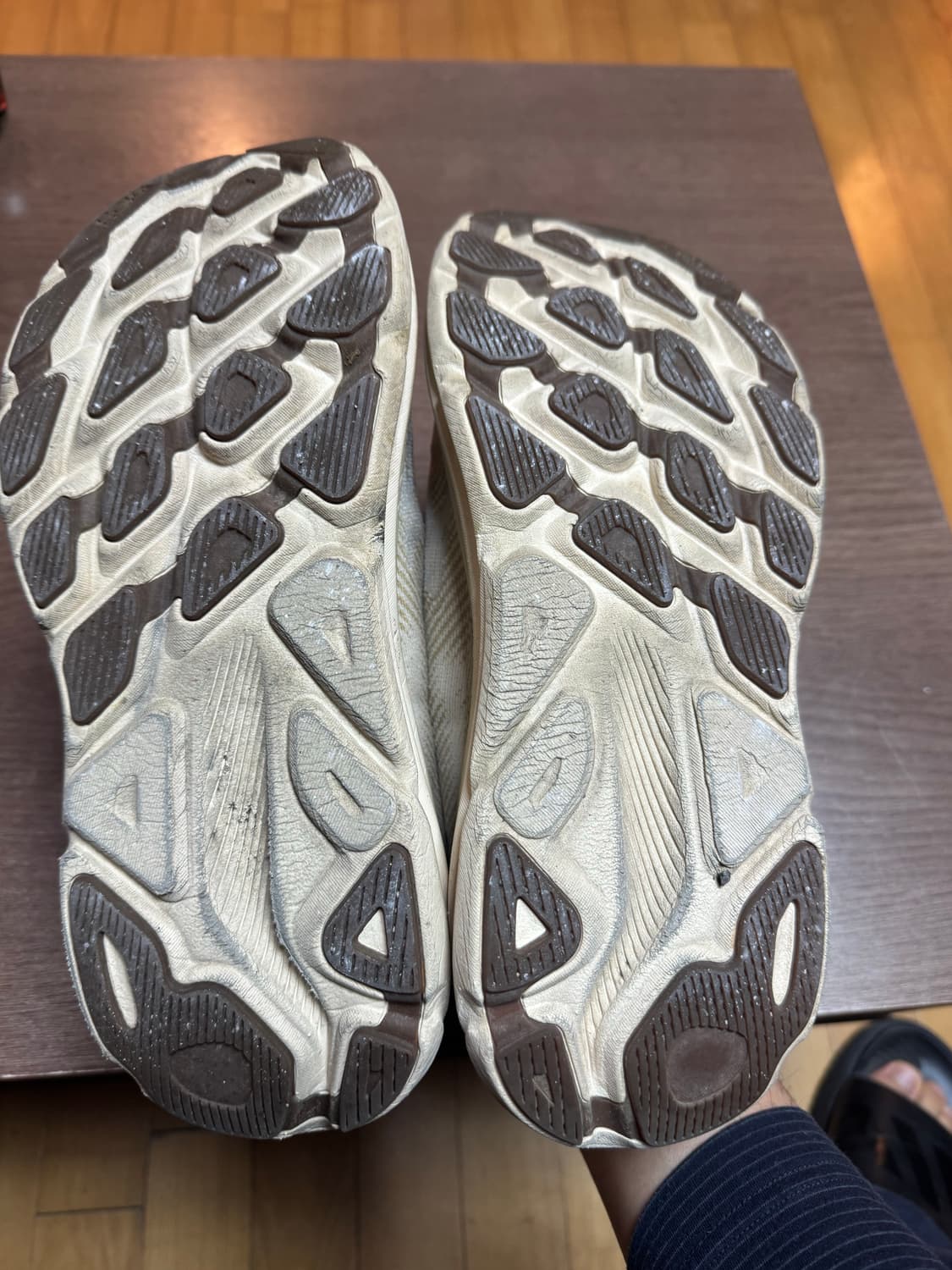 호카 클리프톤 9 샌드 270 상품이미지3