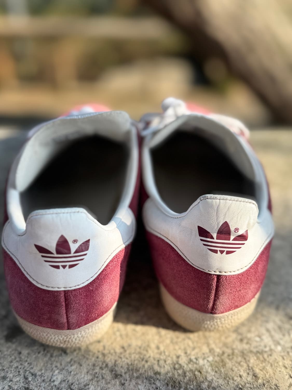 아디다스 가젤 버건디 255 상품이미지3