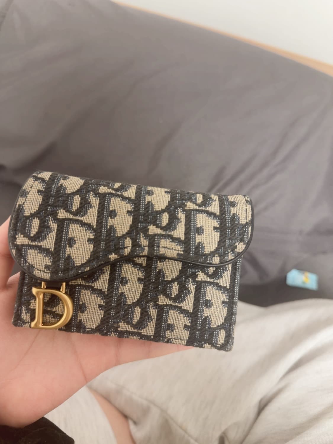 디올 오블리크 새들 카드지갑 상품이미지1