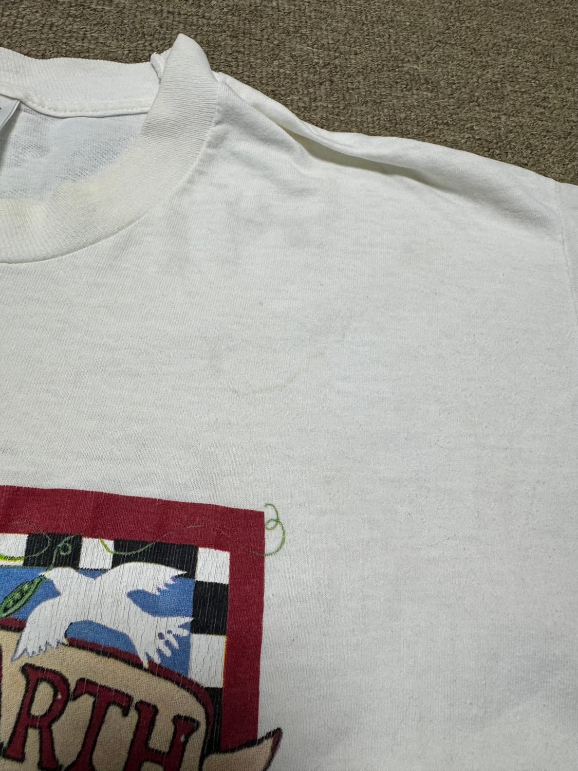 90‘s 빈티지 프루츠 오브 더룸 프린팅 티셔츠 상품이미지4