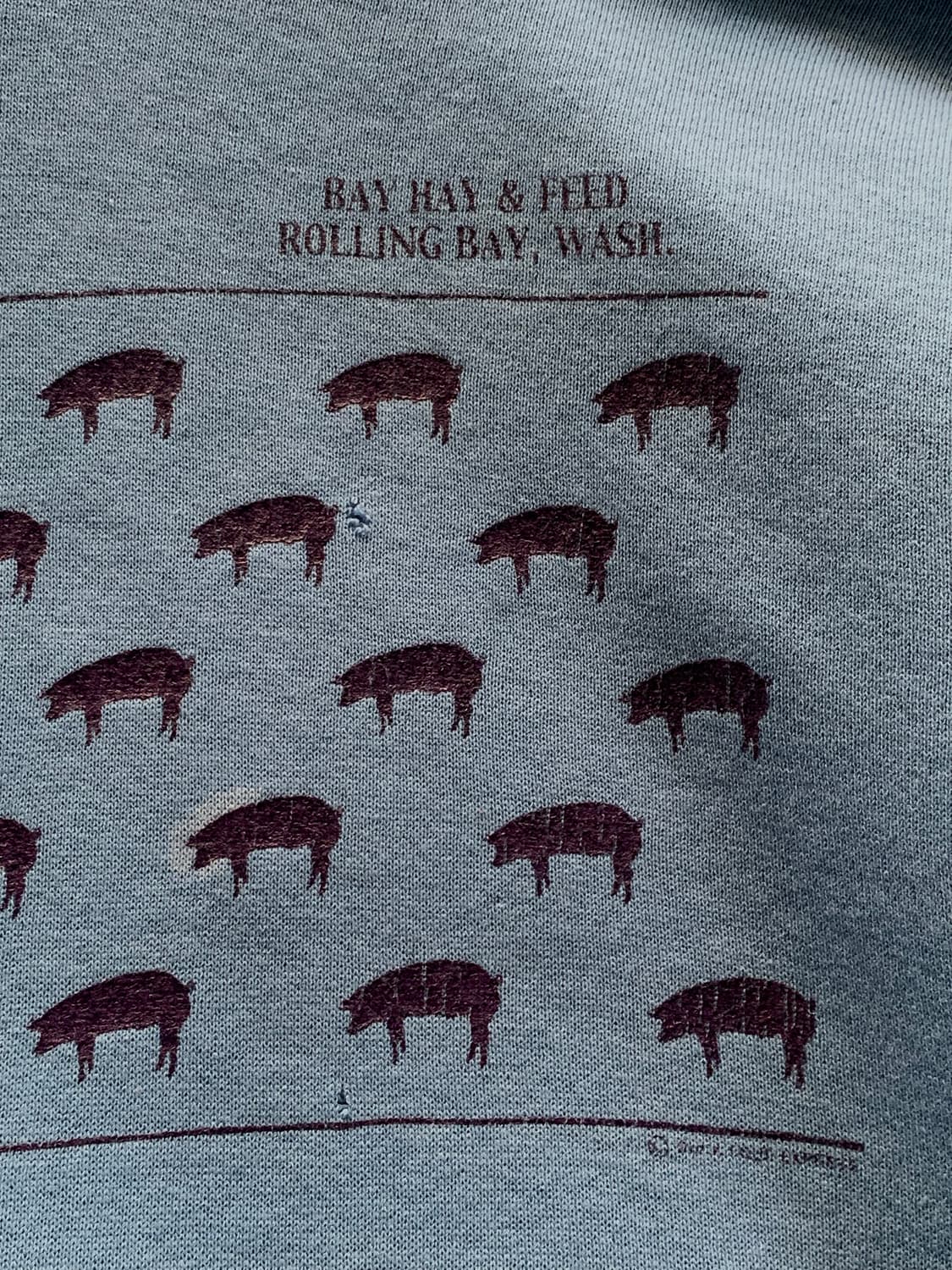 러셀 애슬레틱 튜블러 스웻후디 베이 헤이 앤 피드 상품이미지4