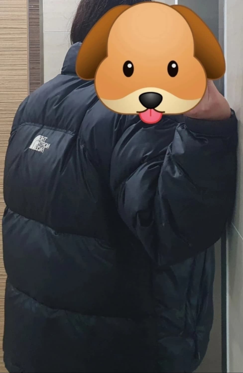 노스페이스 센터로고 700 눕시패딩 상품이미지8