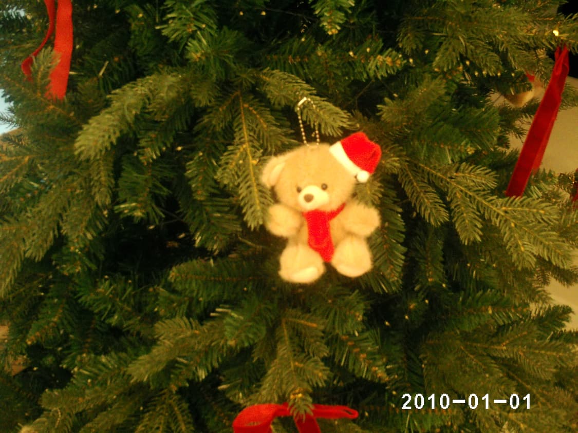 green house gaudi / 그린하우스 가우디 / 빈티지 캠코더 상품이미지7