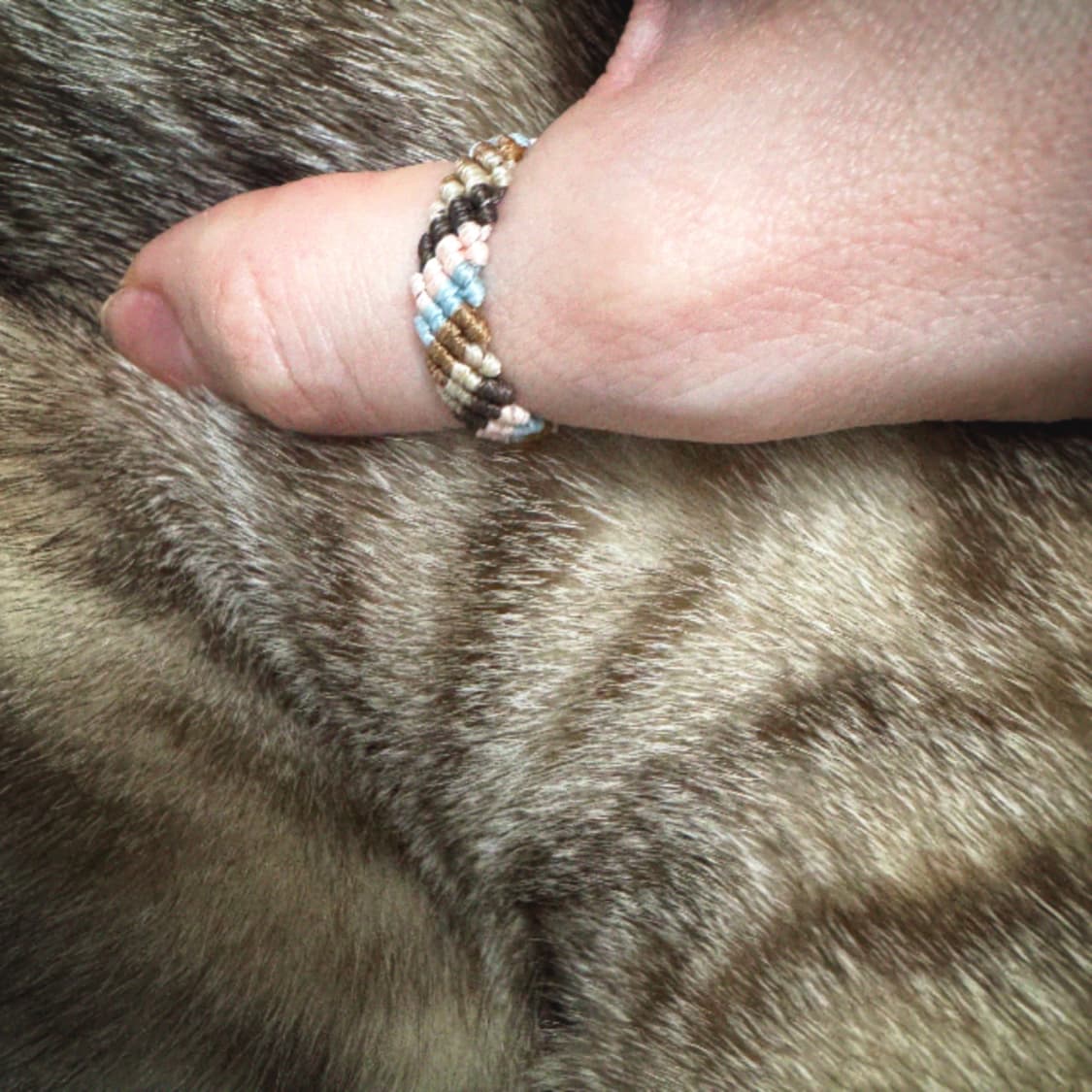 001. 반려동물 오색 실반지 상품이미지3