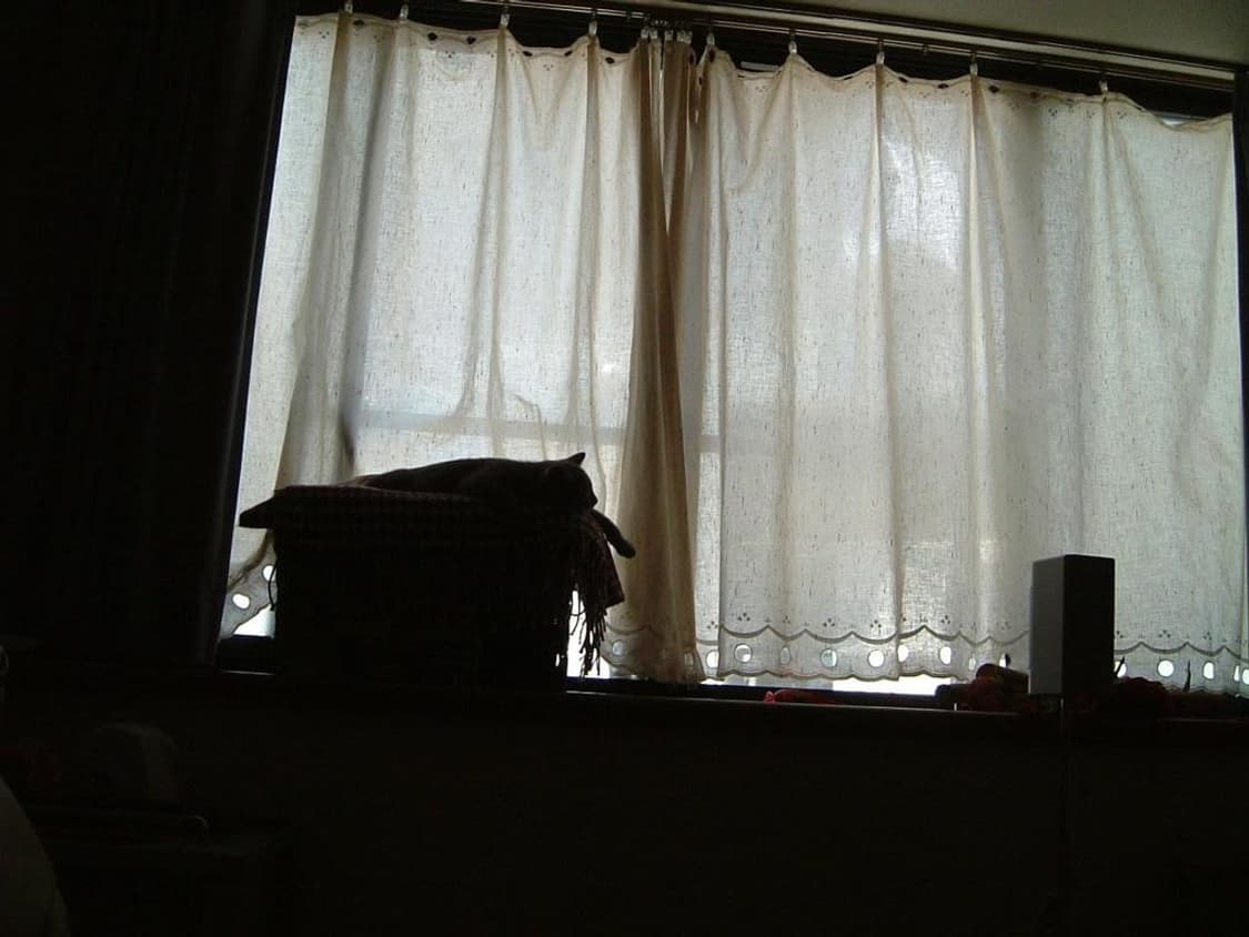 후지필름 파인픽스 FUJIFILM FinePix F401 실버 상품이미지4
