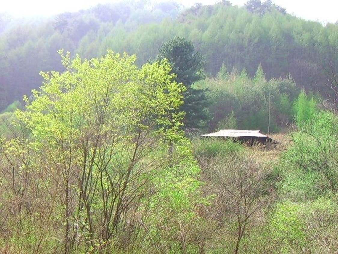 삼성 케녹스 Samsung Kenox D610 실버 상품이미지2