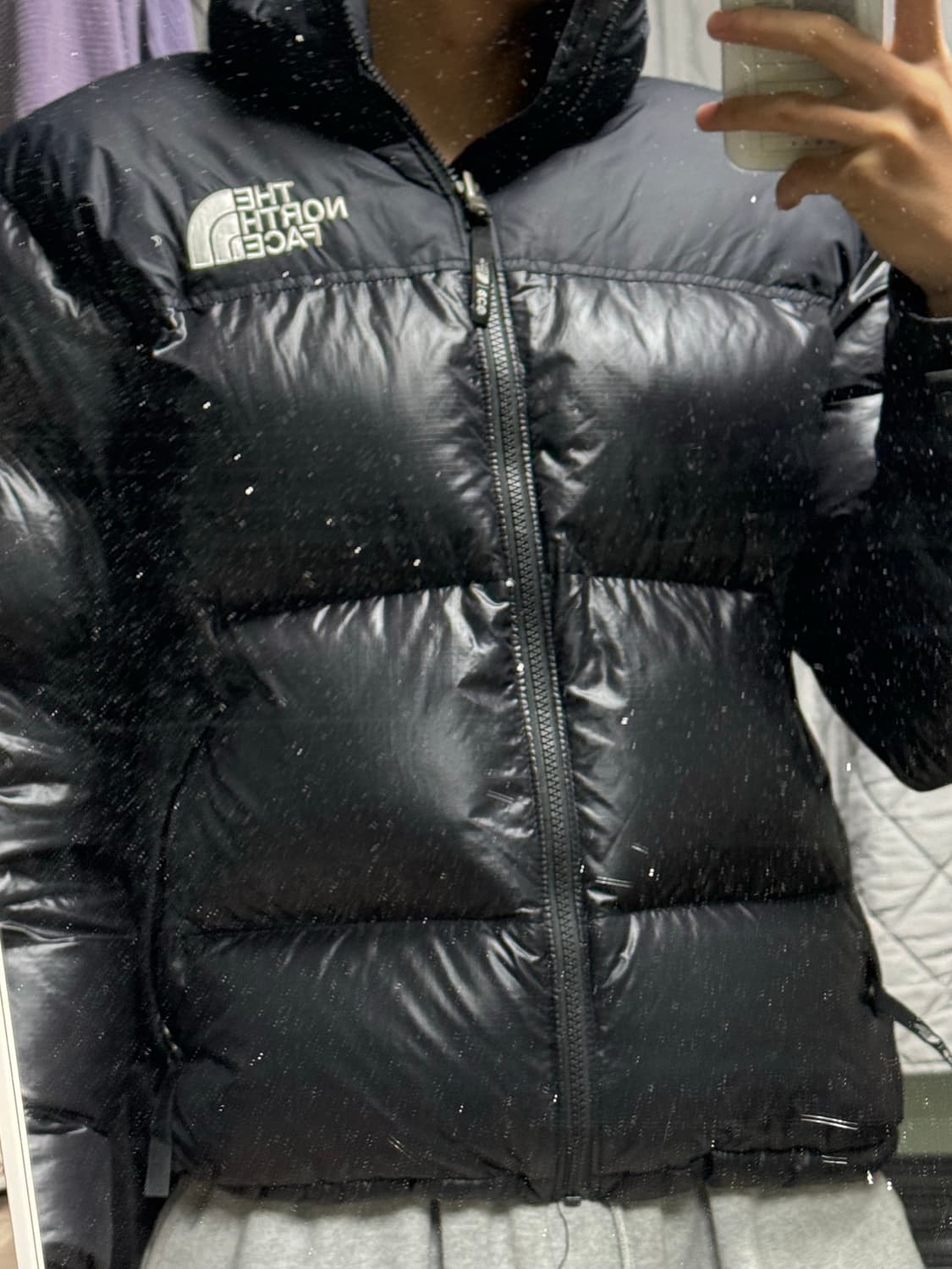 노스페이스 에코 눕시 패딩 상품이미지3