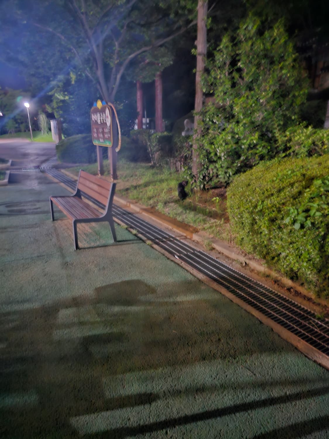 노스페이스 항저우 아시안게임 반팔티 여성용 상품이미지4