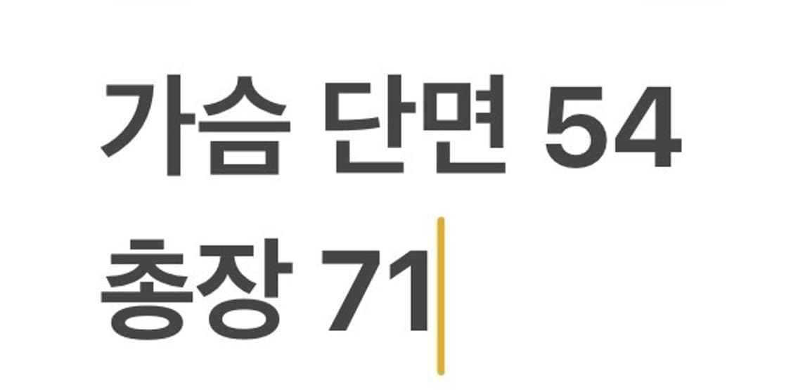 [정품/M] 나이키 대한민국 축구 국가대표팀 유니폼 10번 b16 상품이미지6