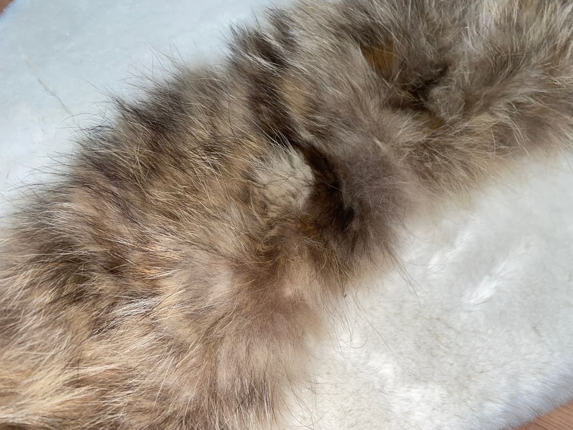 Fox fur 상품이미지2