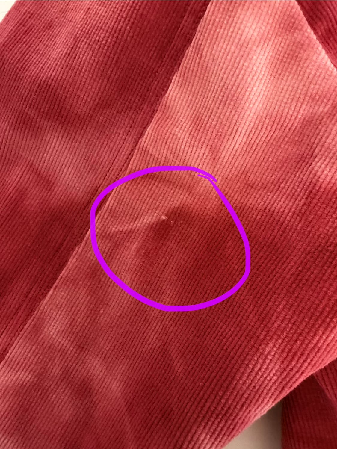 Vaquera 코듀로이 크롭자켓 상품이미지10