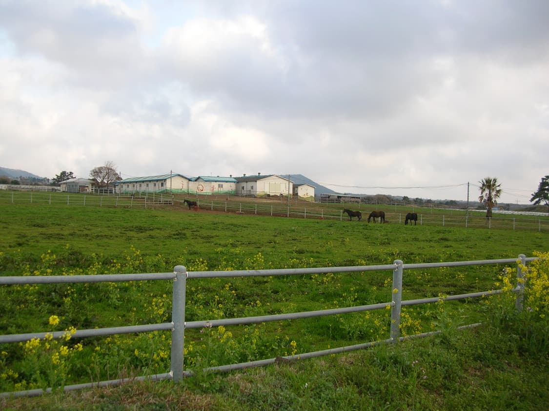 빈티지 디카 작례 O 📸 니콘 쿨픽스 4100 + 충전지 상품이미지10