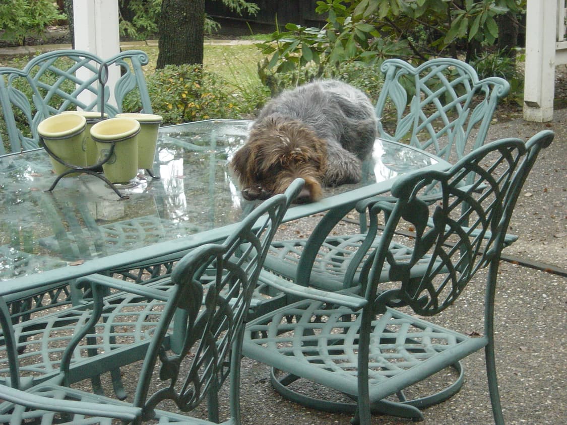 소니 사이버샷 S85 빈티지 디지털카메라 상품이미지8