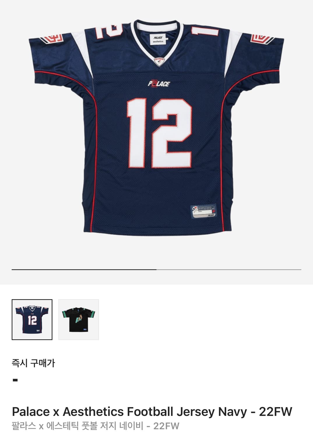 팔라스 메쉬 져시 XL 상품이미지4