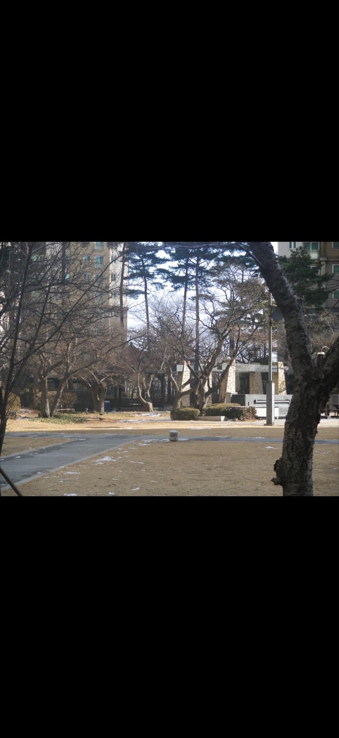 Pentax 펜탁스 optio ws80 (작례O) 상품이미지6