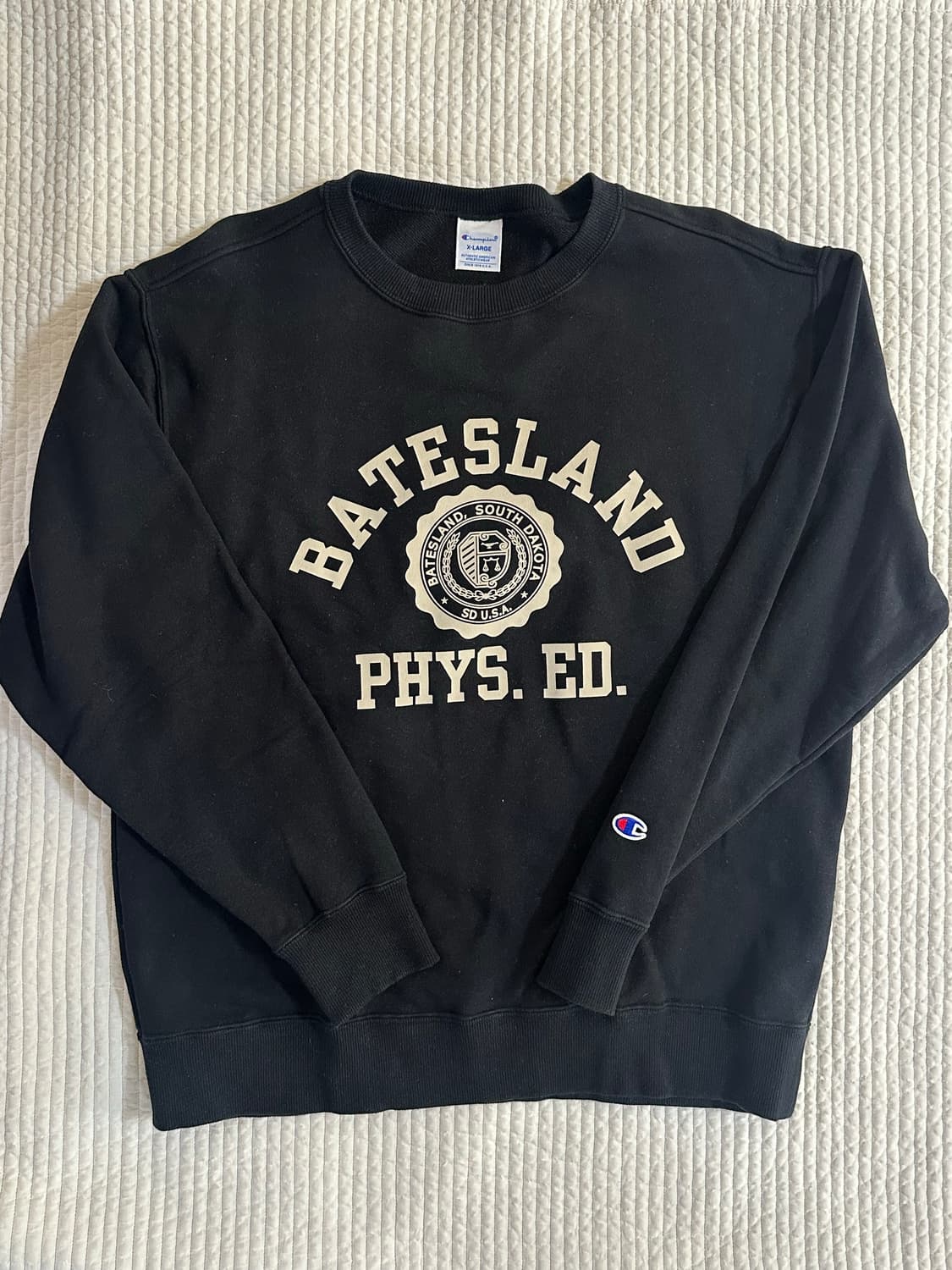 (XL) 챔피온 블루택 스웻셔츠 상품이미지1