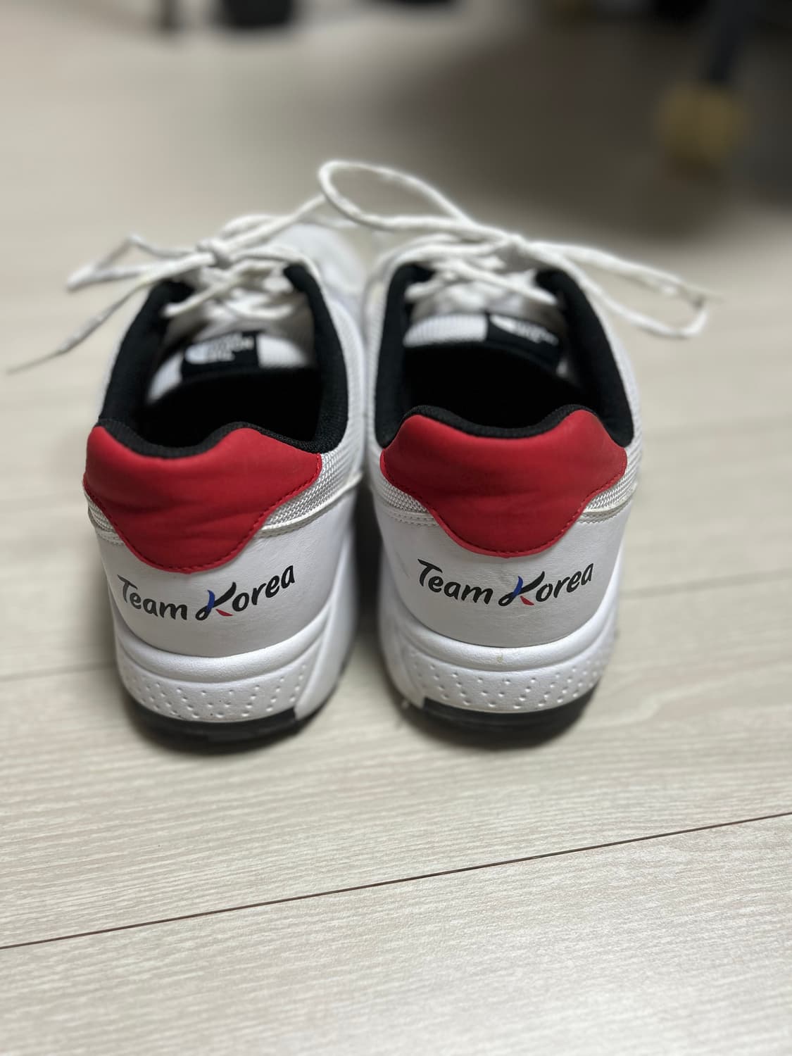 노스페이스 팀코리아 신발275사이즈 팜 상품이미지4