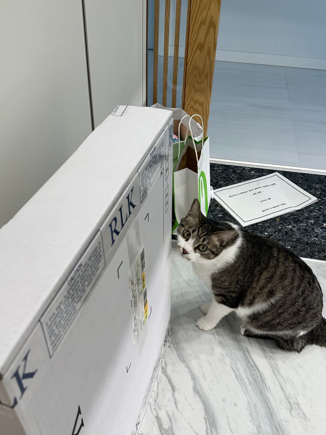 RRL 뉴스보이 xl (미개봉) 상품이미지2