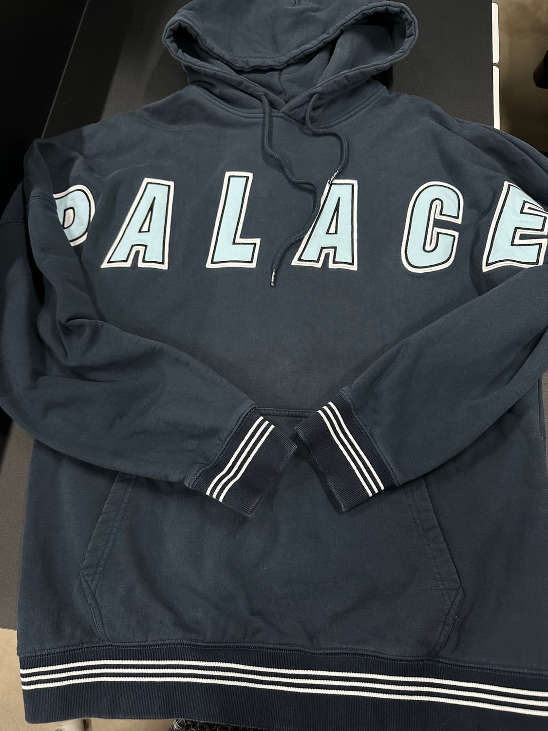 팔라스 아크 로고 후드티 상품이미지4