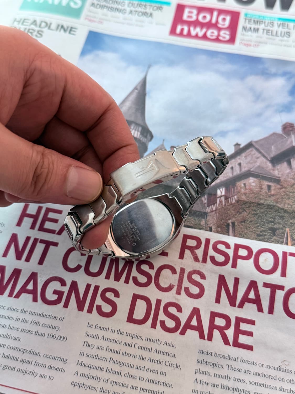 세이코 Seiko 쉘 실버 피치 상품이미지3