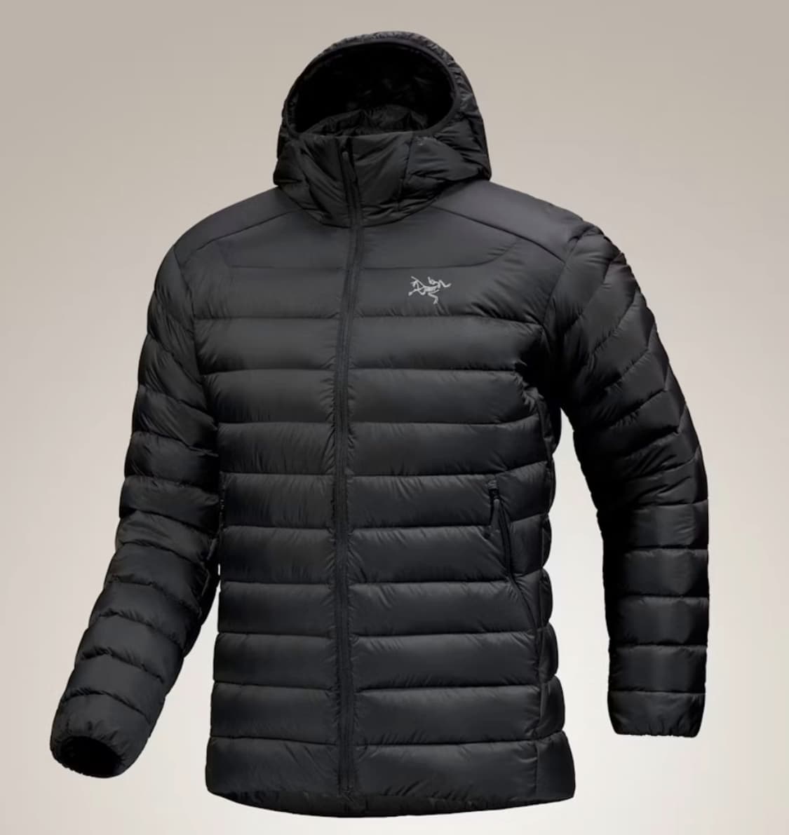 아크테릭스 세륨 후디 블랙 상품이미지1