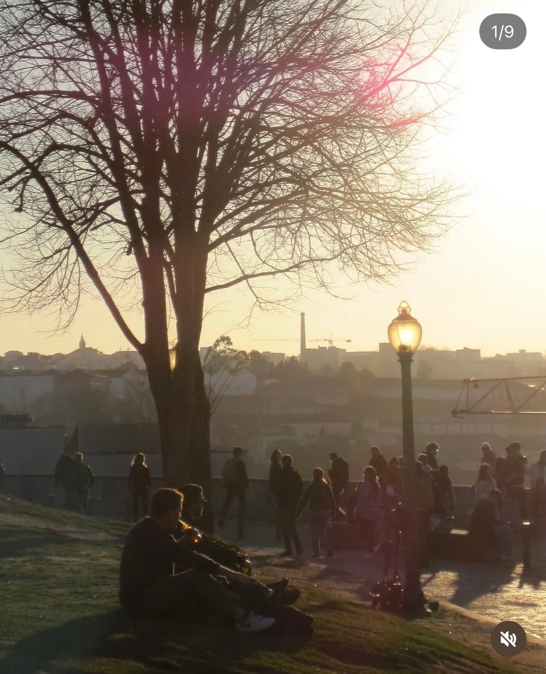 캐논 Canon ixy10 (ixus70) 민트급 상품이미지5