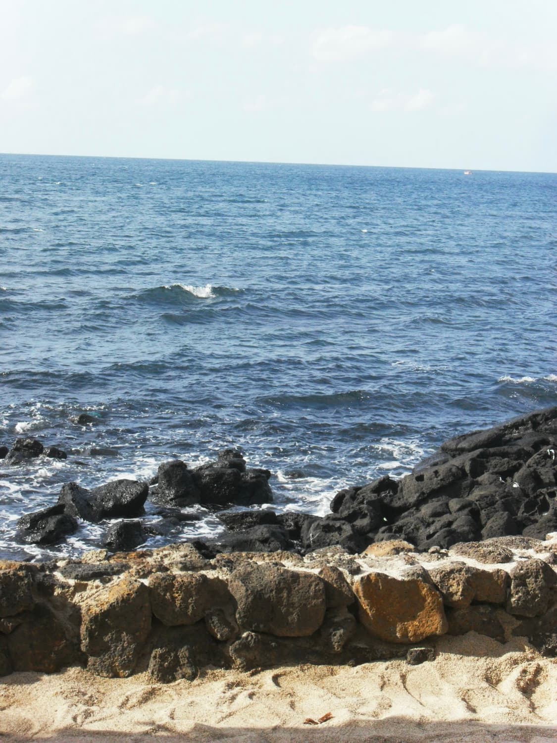 삼성 vluu pl50 작례있음 상품이미지9