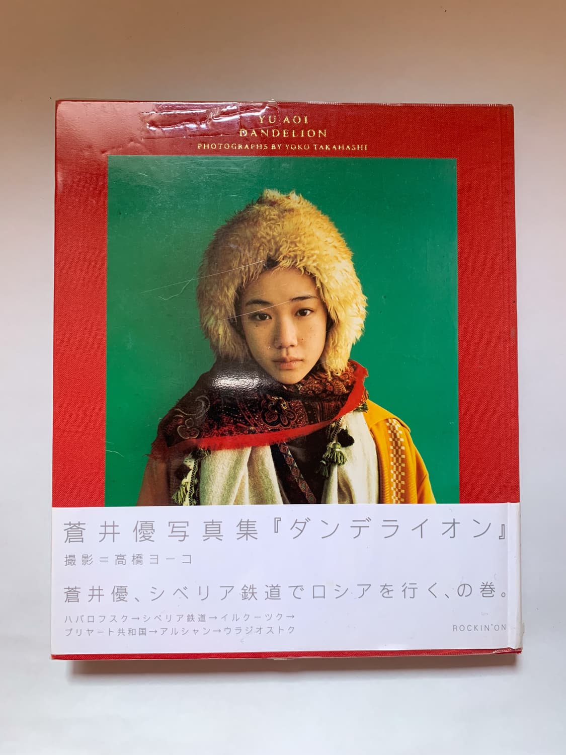 아오이 유우 사진집 단델리온 & 빈티지 모자 장갑 set 상품이미지2