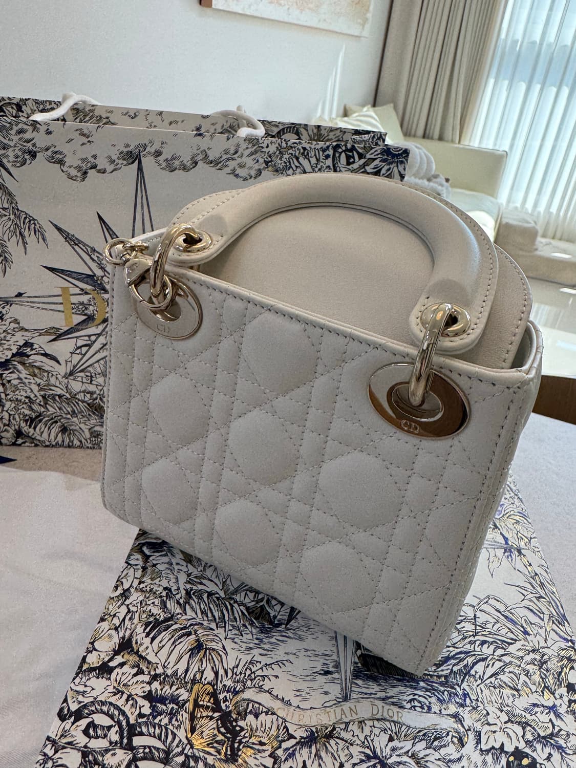 레이디디올 미니백 상품이미지5