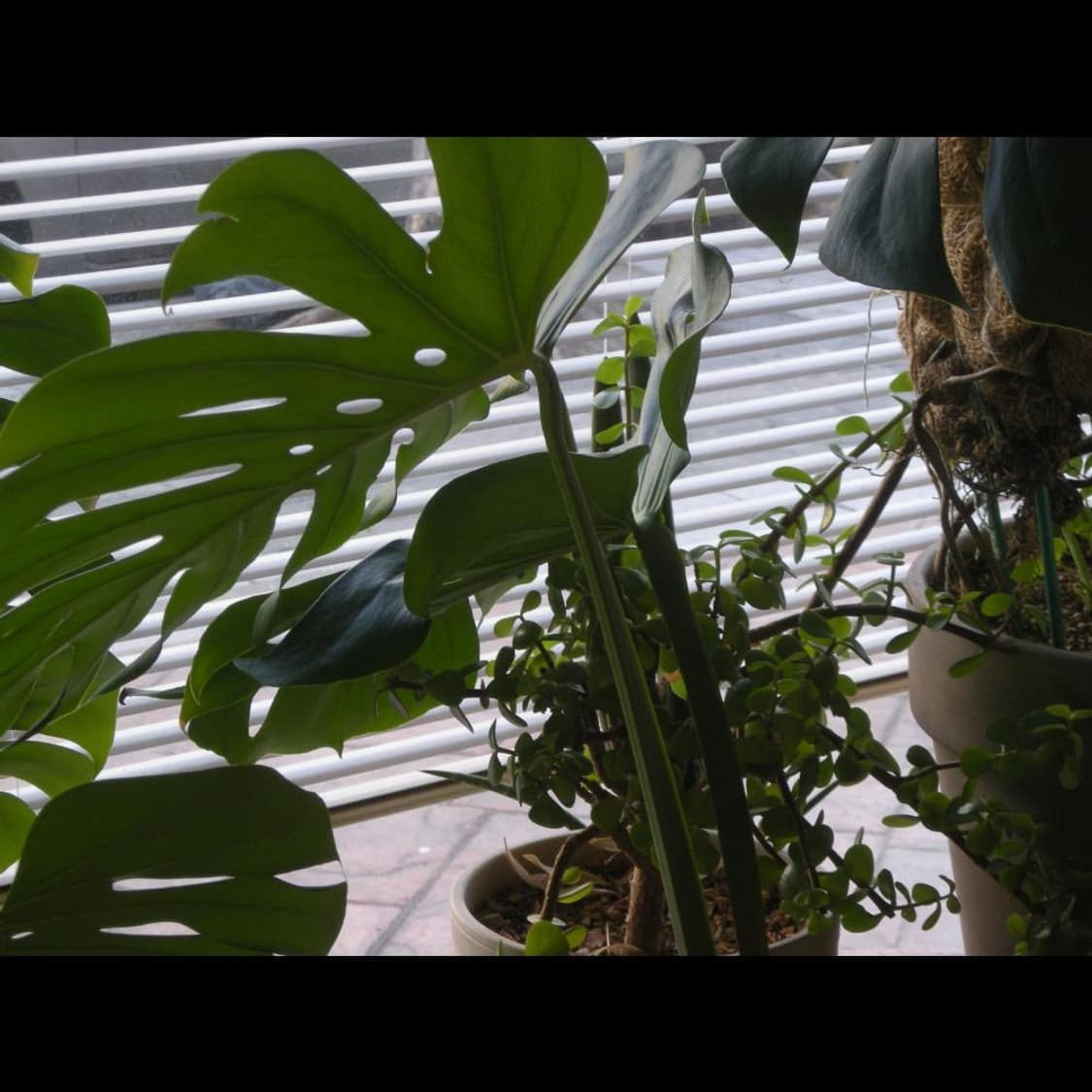 작례⭕️ 니콘 쿨픽스 S510 풀박스 와인 레드❤️  상품이미지4