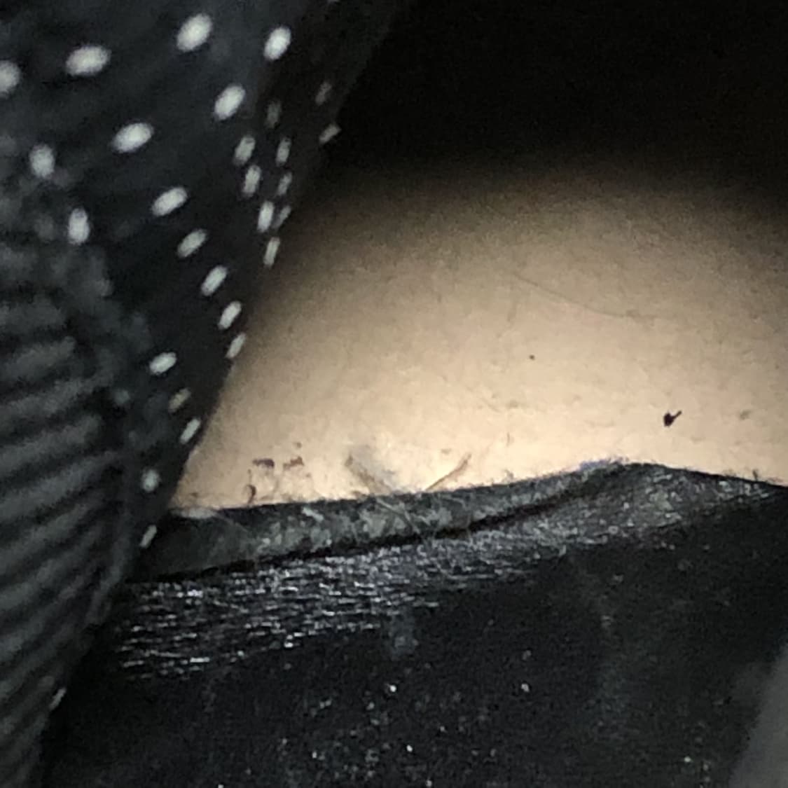 (230) 닥터마틴 Dr.martens 플로라 첼시 부츠 스무스 블랙 상품이미지8