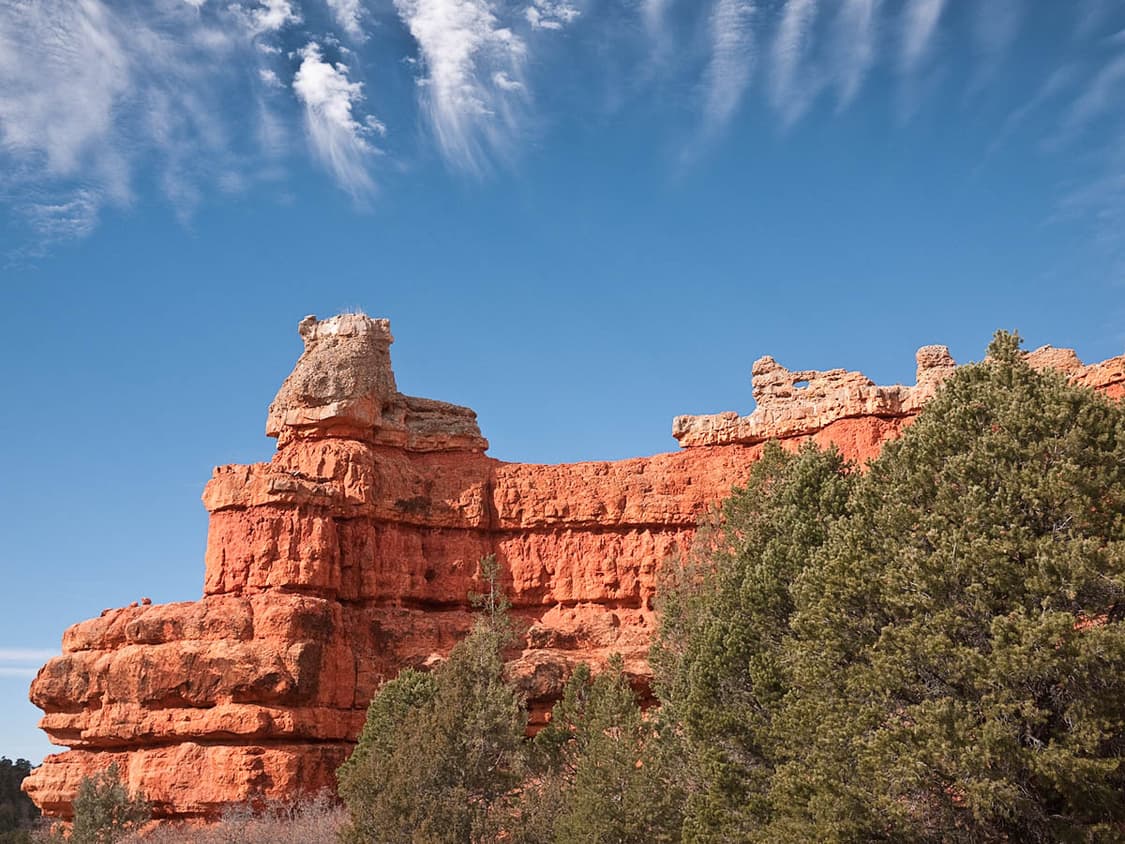 Fujifilm FinePix 40i (후지필름 파인픽스 40i)  상품이미지9