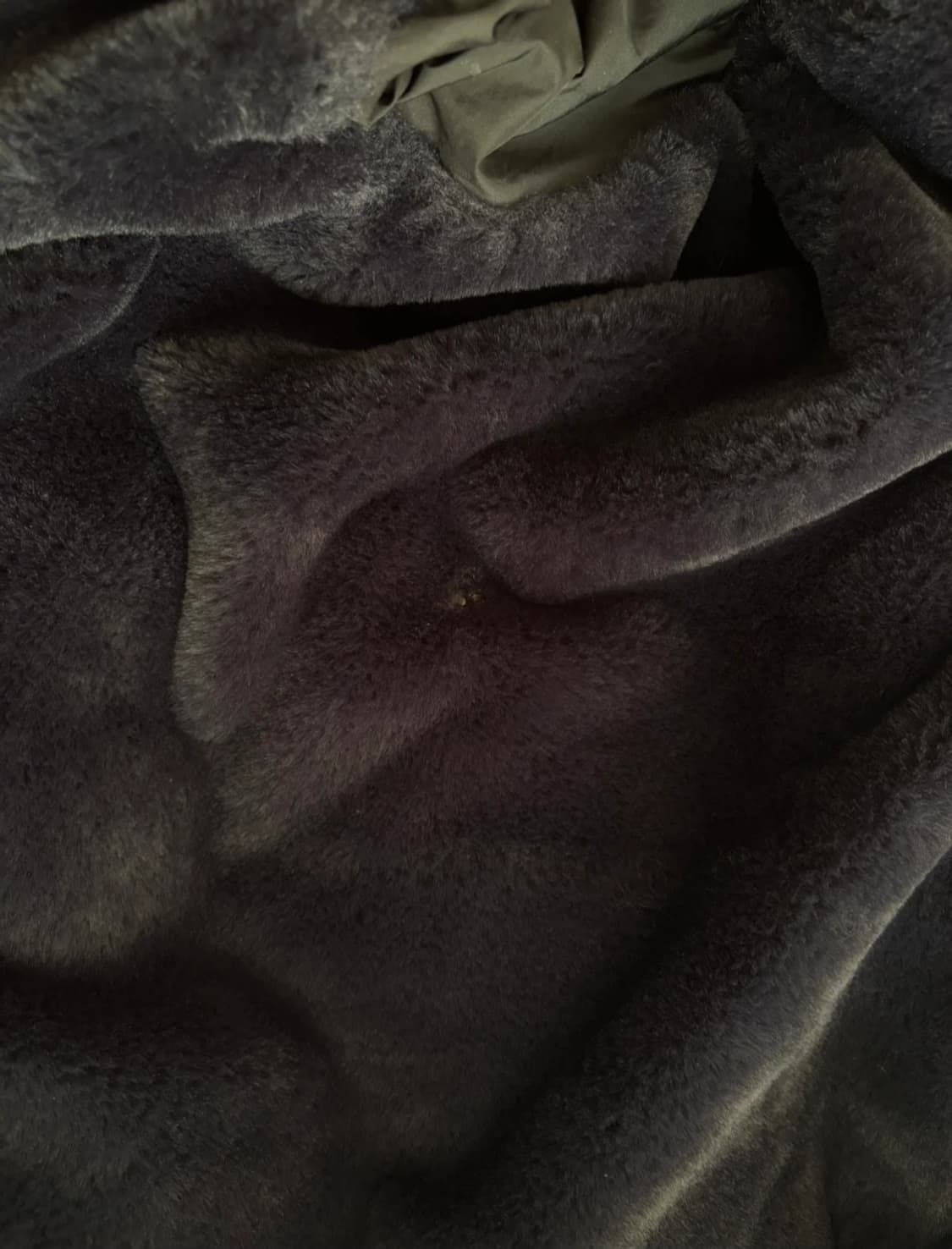 질스튜어트 미니멀 숏패딩 S 상품이미지5