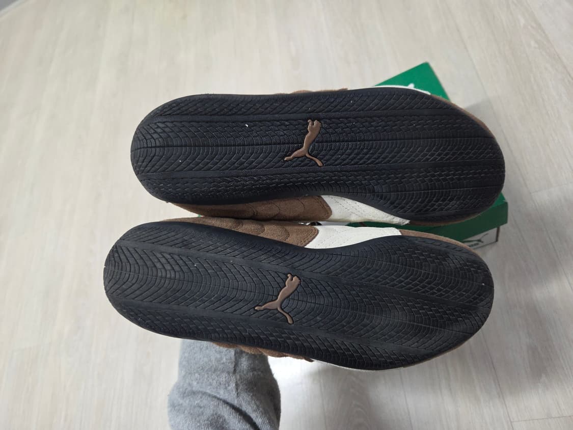 스피드캣 브라운 245 상품이미지4