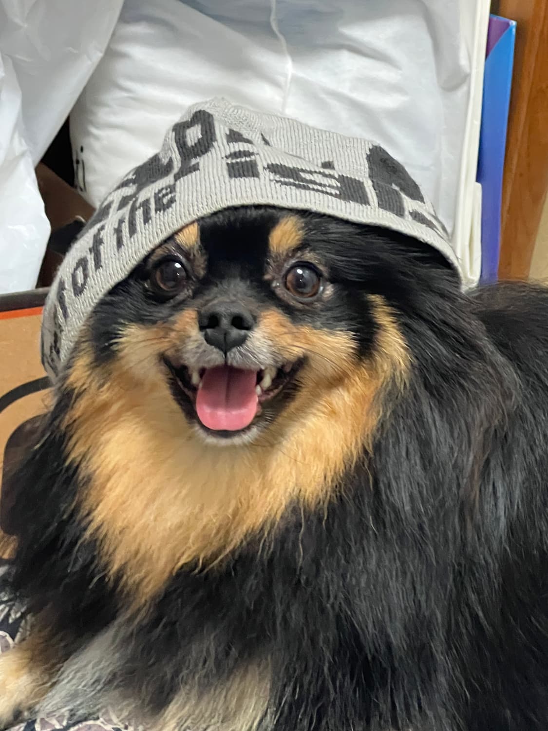 teket beanie 상품이미지1
