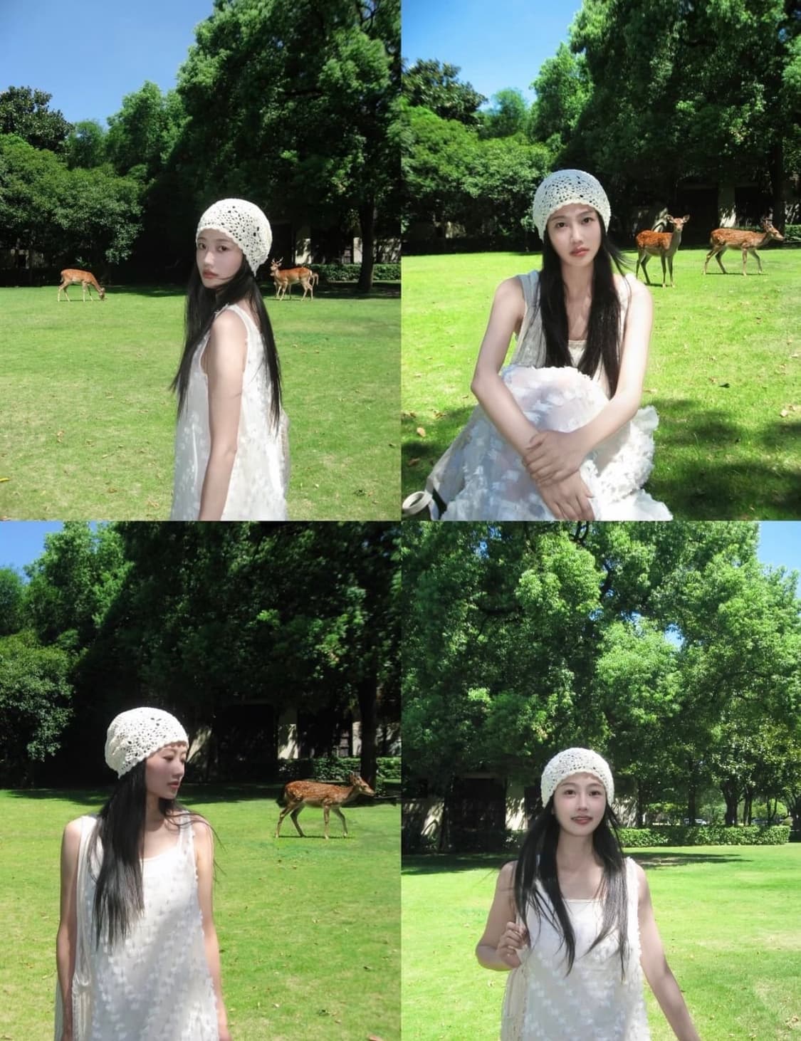 A급)캐논 익서스 800 CANON IXUS 800 빈티지 디카 상품이미지2