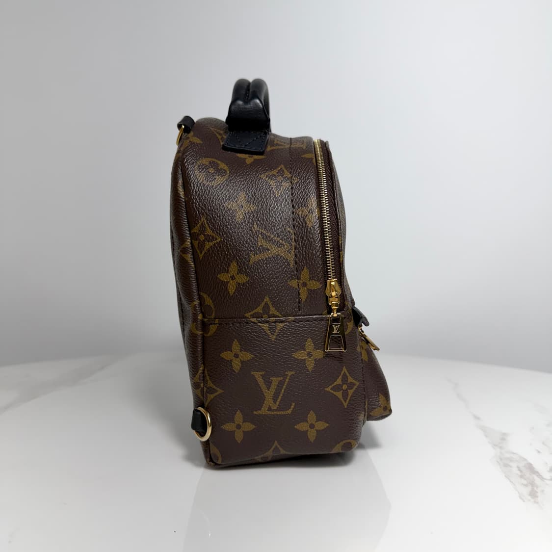 루이비통 팜스프링스 미니 상품이미지7