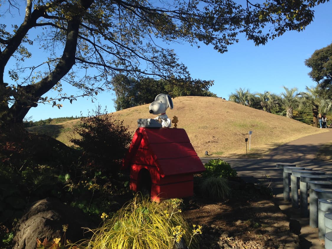 새상품, 일본정식출시 -> 리퍼 짜집기X / 아이폰 5c 16기가 판매 상품이미지5