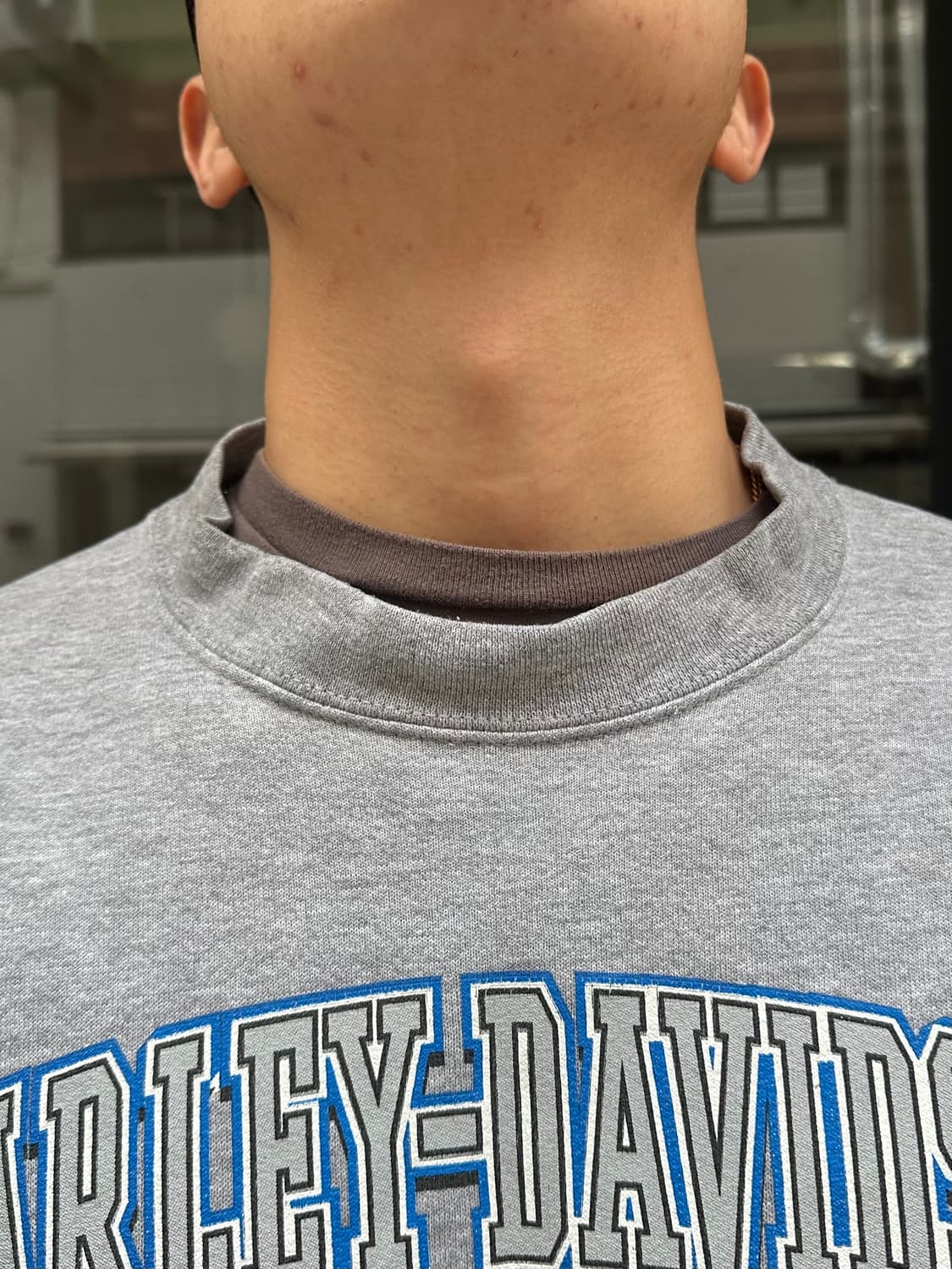 00’s Harley Davidson quality logo sweats 상품이미지4