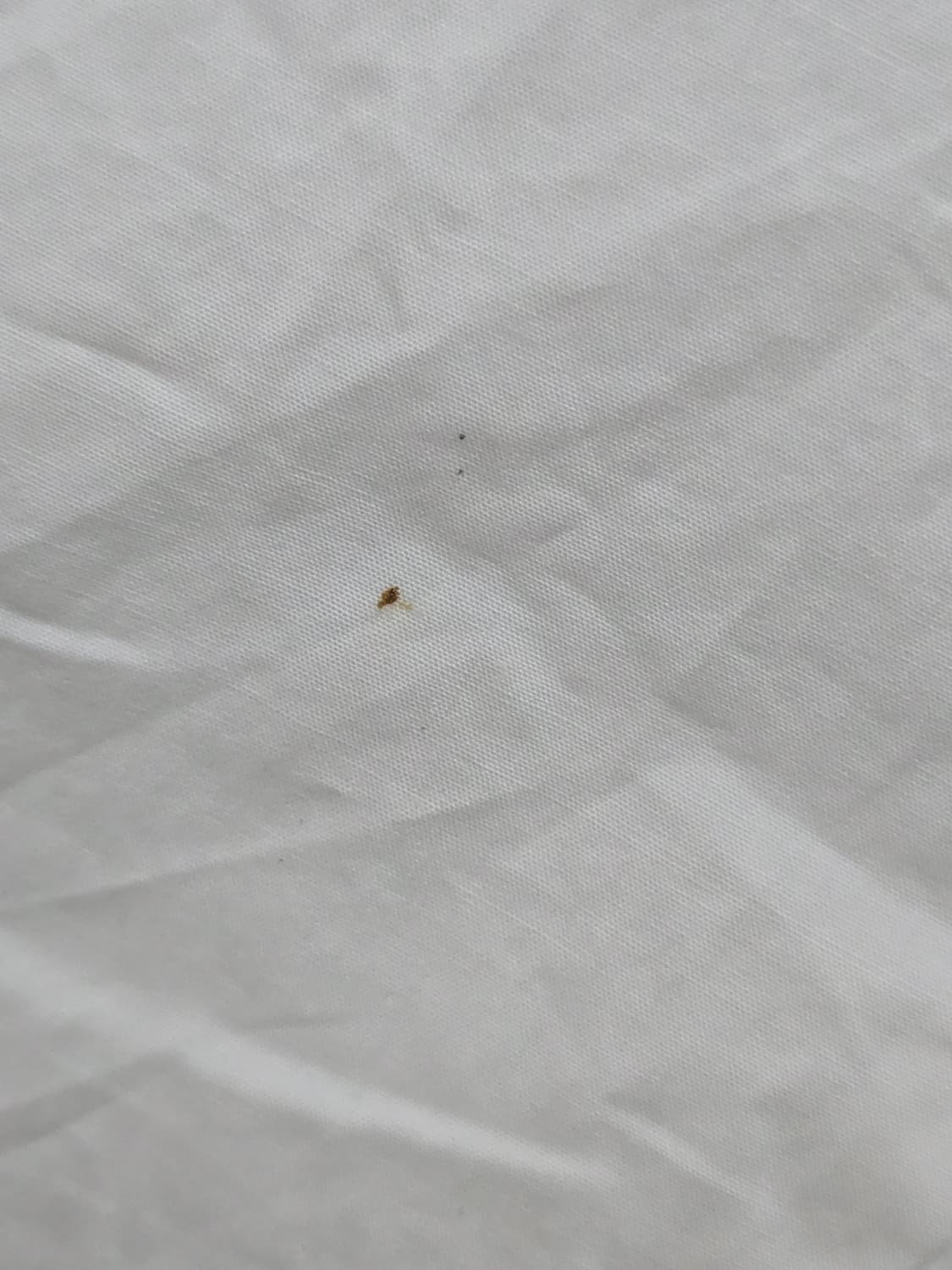 Moon Choi 화이트 롱 셔츠 원피스 (문초이) 상품이미지3