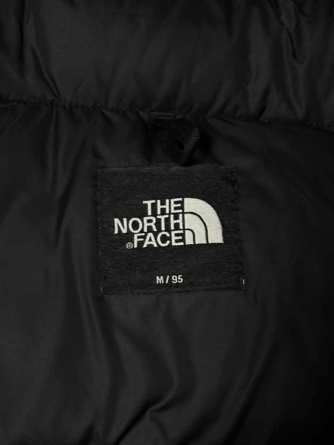 노스페이스 에코 눕시 자켓 블랙 상품이미지3