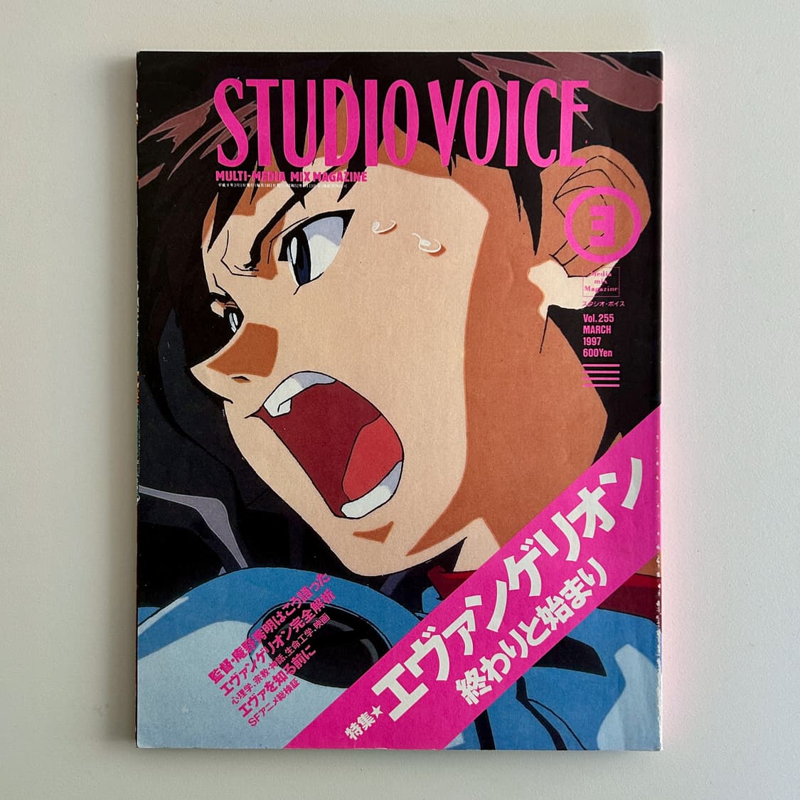 Studio Voice No.255 에반게리온 특집 상품이미지1