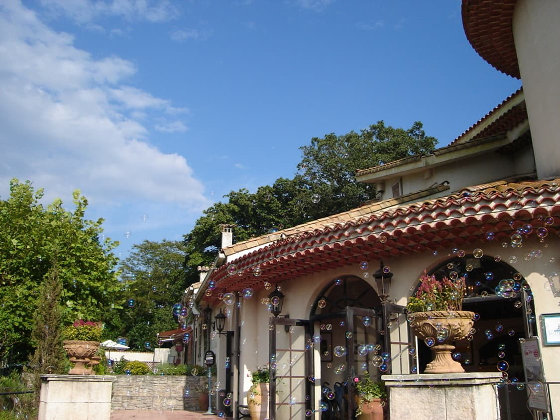 (색감/감성✨) 소니 sony 사이버샷 DSC-w35 디카 디지털카메라 상품이미지7