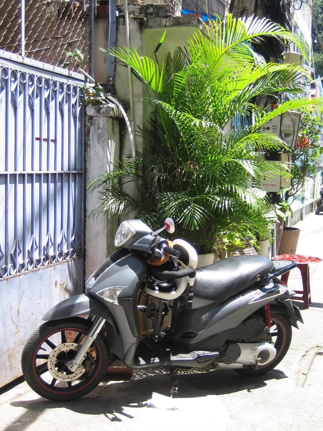 아이유디카💛 ) 캐논 ixy 50 ixus50 상품이미지5