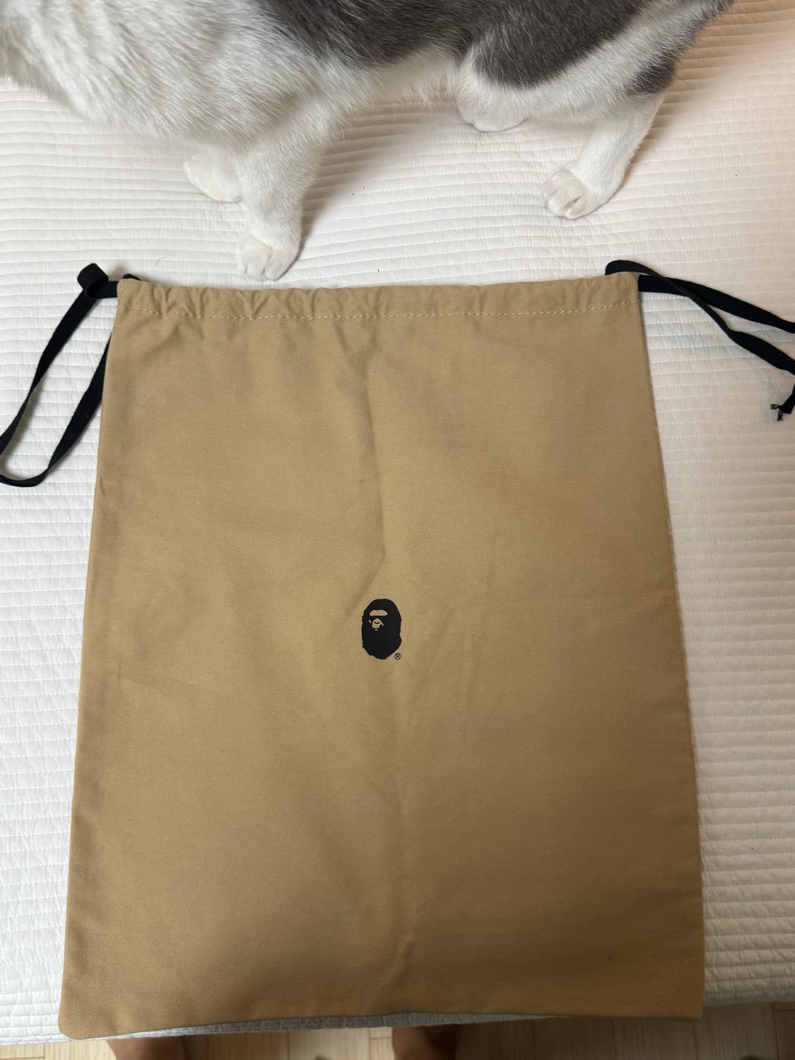 베이프 더스트백 상품이미지1