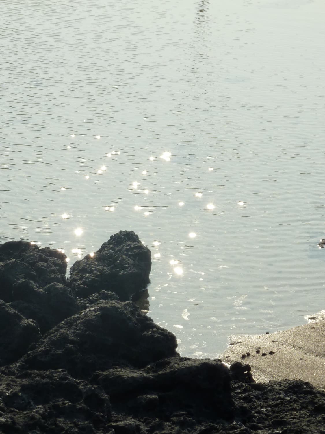 [풀박스급] 파나소닉 루믹스 DMC-TZ7 (작례 포함) 상품이미지9