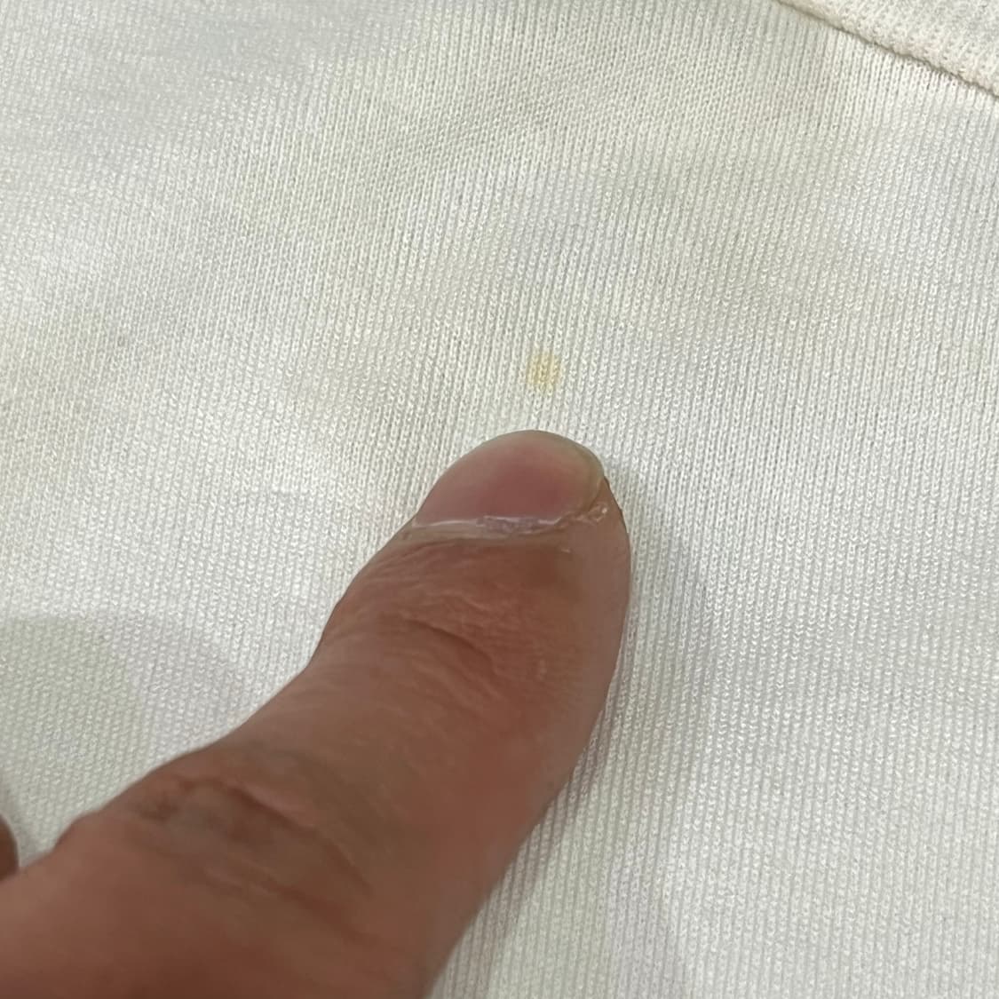  스톤아일랜드 로고 반팔티 y16165 상품이미지4