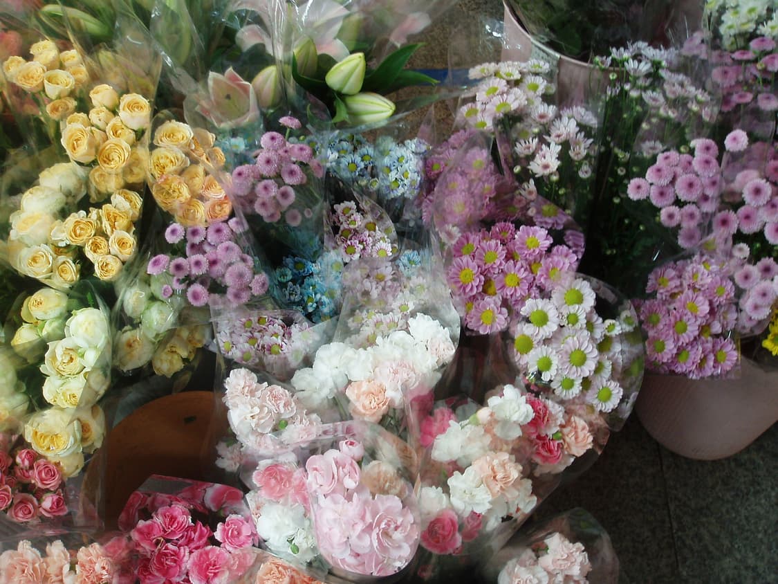 희귀컬러🔷Olympus Mju Mini 올림푸스 뮤 미니 블루 상품이미지9