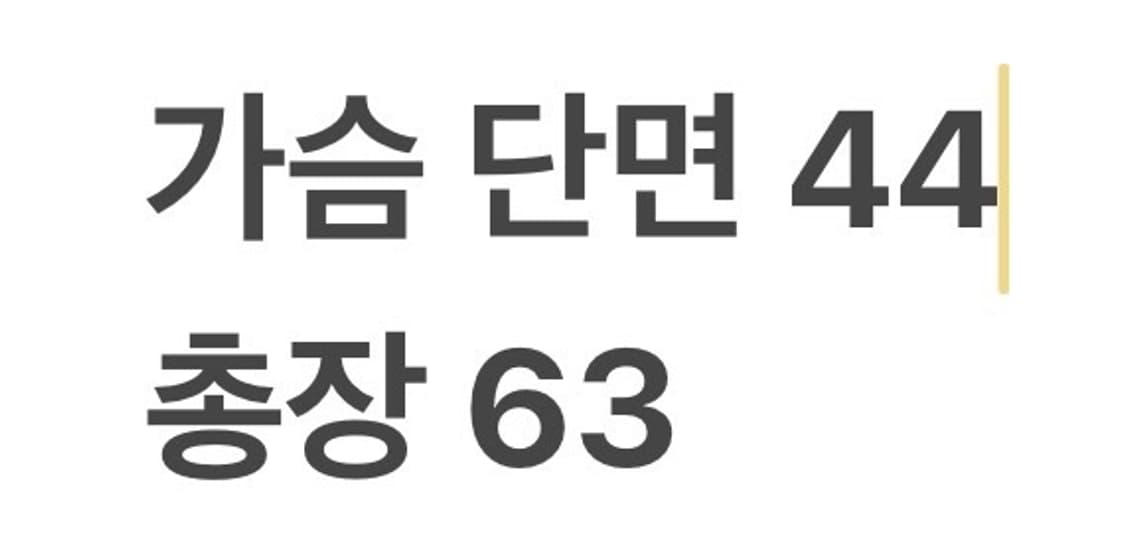 [정품/4] 폴로 랄프로렌 네이비 블레이저 금장 b16 상품이미지7